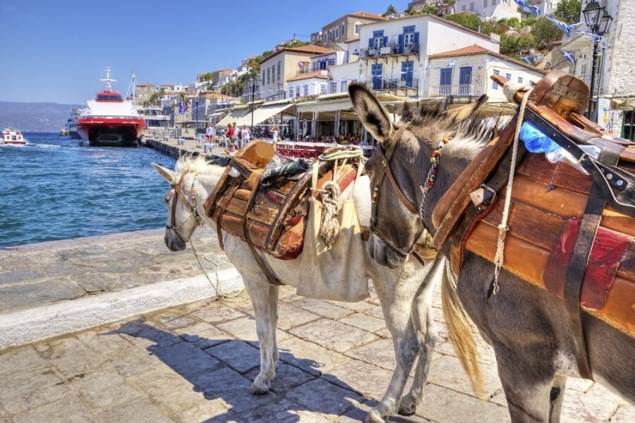 Hydra Island Day Trip