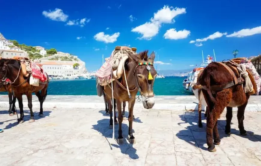 Athens Day Cruise to Hydra, Poros & Aegina | Lunch, Music & 3 Islands in 1 Day